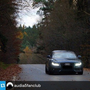 #Repost from @audia5fanclub
Amazin' shot!
www.Krautdub.com
#krautdub #a5 #audia5 #audi #s5 #sline #car #cars #audis5 #rs5 #audination #windowtint #sportscar #caroftheday #instamod  #audilover #germancar #beautiful #tuning #audicarsonly #gray #turbo #vag_official #germancars #wheels #audizine #carswithoutlimits #audi_official #audia5fanclub
