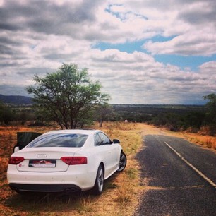 #repost
#audi #s5 early morning drive by @_mikaeel_e 
www.krautdub.com
#krautdub #coupe #v8 #quattro #vag #tfsi #morning #drive #road #ibis #white #audigramm #audilovers #audigram