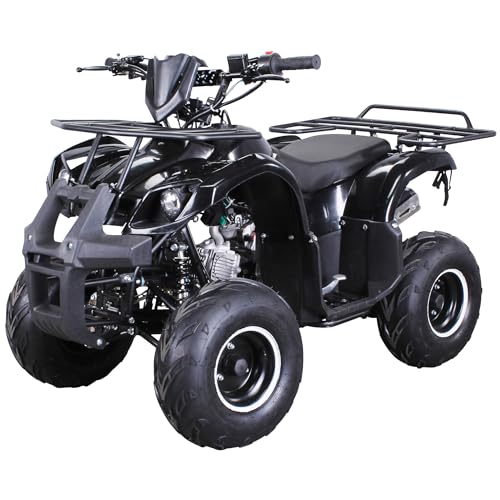 Actionbikes Motors Kinder Quad ATV S-8 Farmer 125...